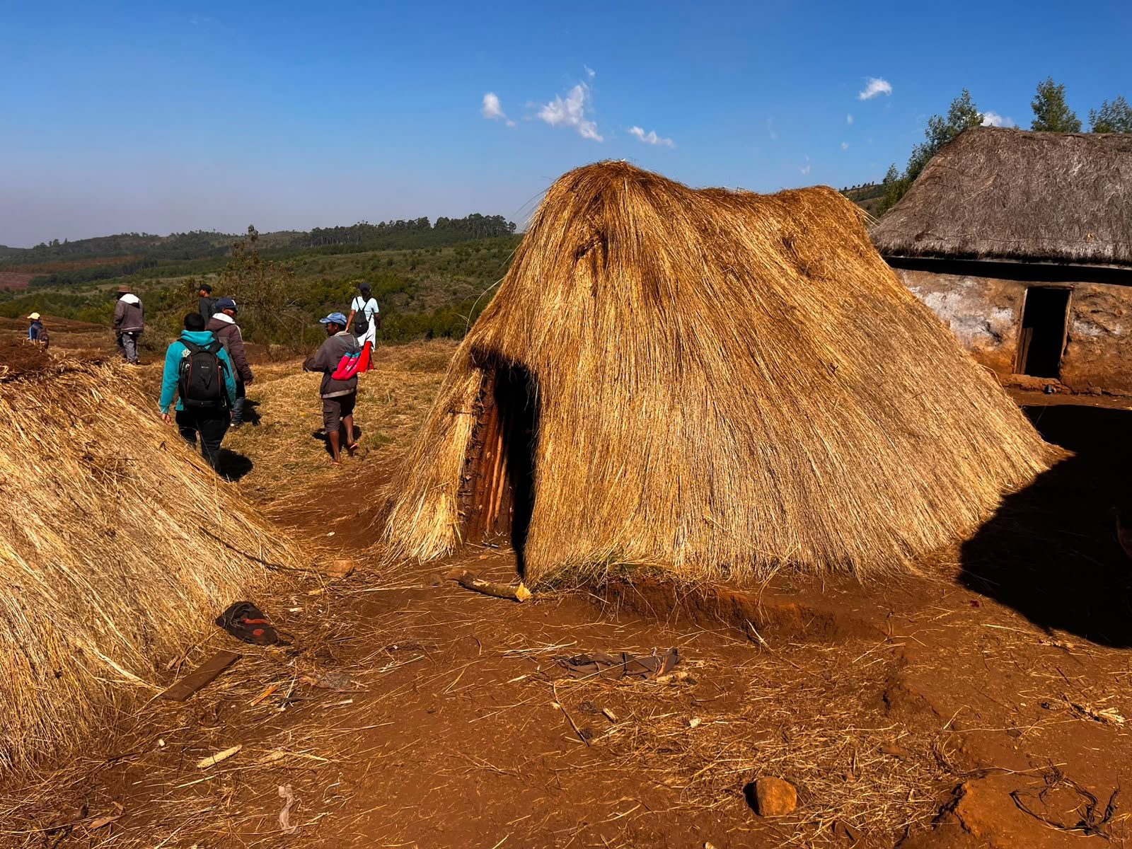 Thatched homes in a village around the Ankaratra