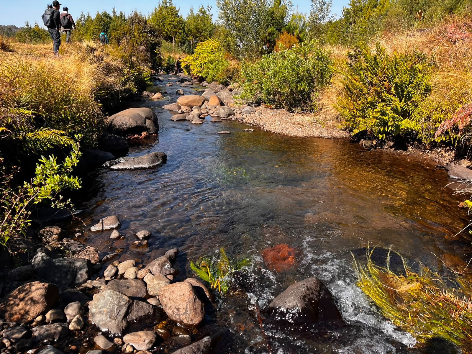 River in the Ankaratra